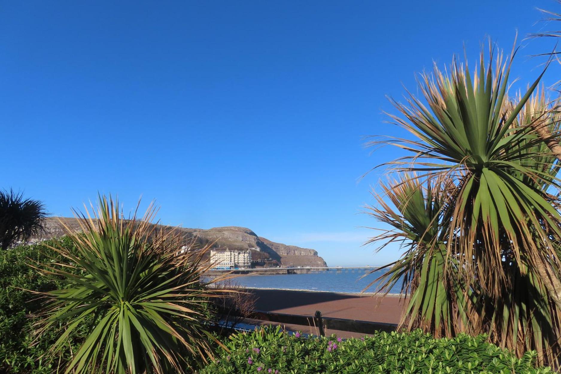 Noah'S Rest Villa Llandudno Eksteriør billede